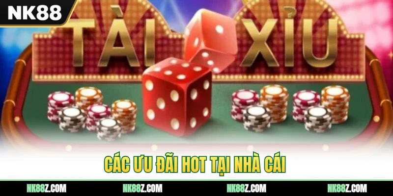 Các ưu đãi hot tại nhà cái